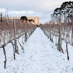 Inverno climático chega ao fim com prejuízos e belas imagens