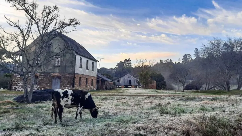 Maioria das regiões gaúchas com frio abaixo de zero