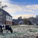 Maioria das regiões gaúchas com frio abaixo de zero