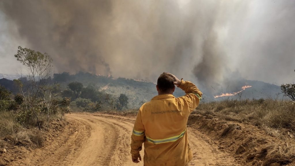 Risco extremo de fogo no estado de São Paulo