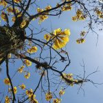 Clima em setembro – O que esperar?