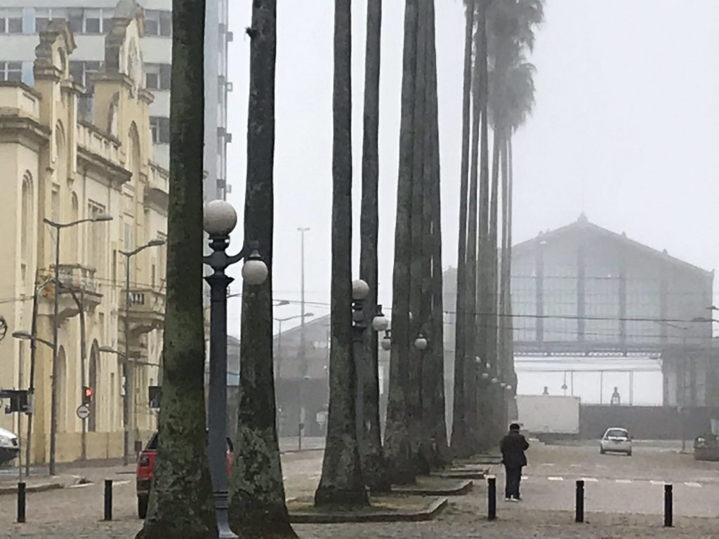 Previsão do tempo para amanhã é de nevoeiro e frio