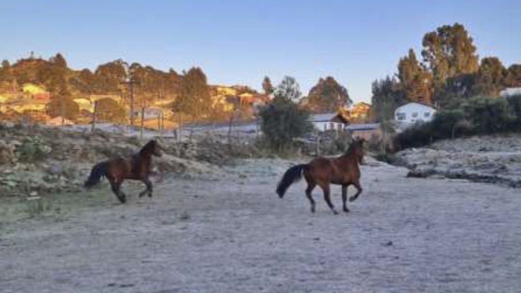 Frio retoma força com -5°C no RS e -7°C em SC
