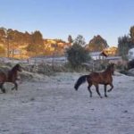 Frio retoma força com -5°C no RS e -7°C em SC