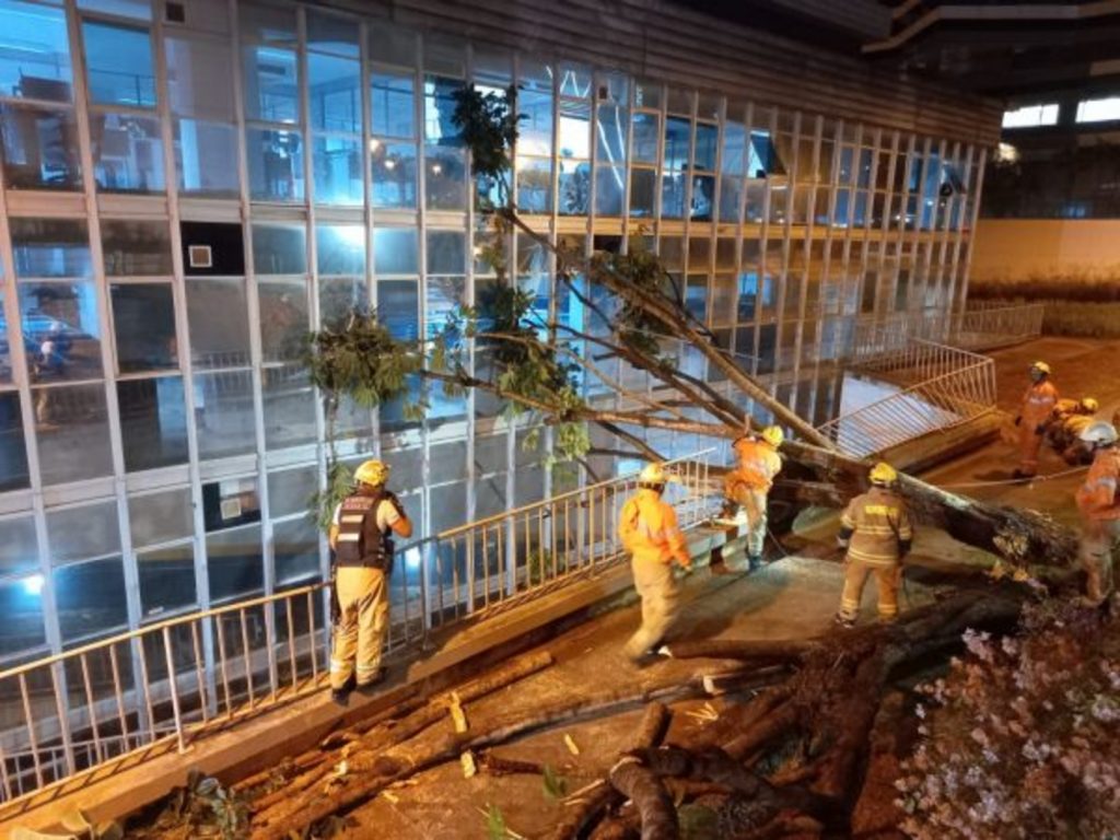 Temporal provocou estragos em Brasília