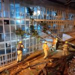 Temporal provocou estragos em Brasília