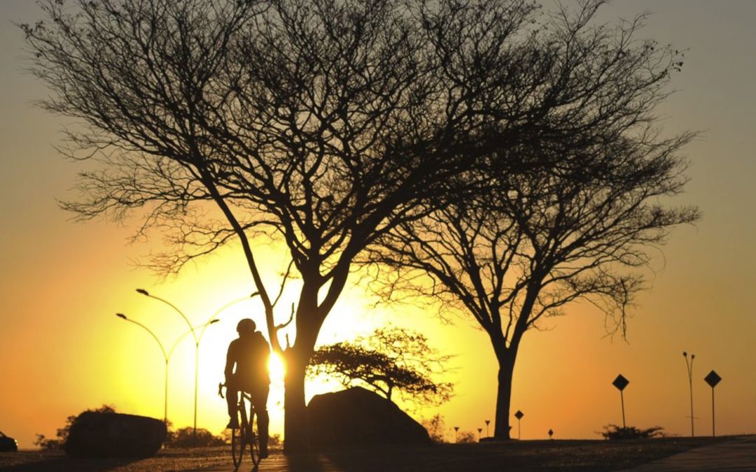Secura e calor sem trégua no Brasil Central Cenário de curto prazo em estados do Sudeste e do Centro-Oeste é de continuidade do calor intenso com chuva escassa