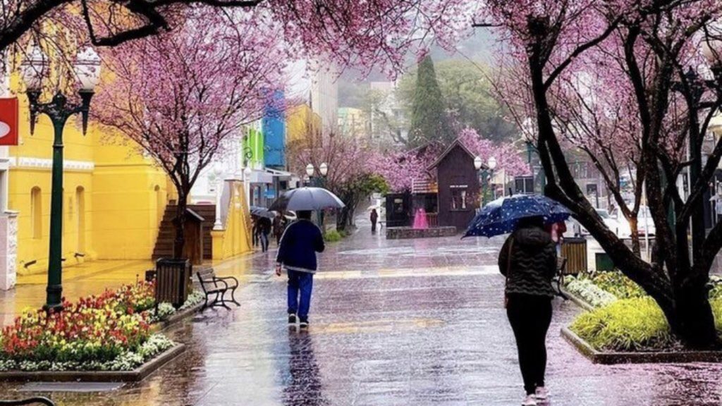Previsão do tempo para hoje é de retorno da chuva ao Sul do Brasil