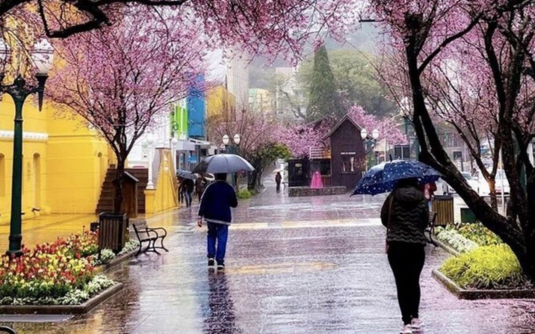 Previsão do tempo para hoje é de retorno da chuva ao Sul do Brasil Chuva alcança a maioria das regiões gaúchas da tarde para a noite e em Porto Alegre só chega no fim do dia ou no início do domingo