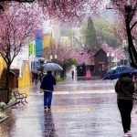 Previsão do tempo para hoje é de retorno da chuva ao Sul do Brasil