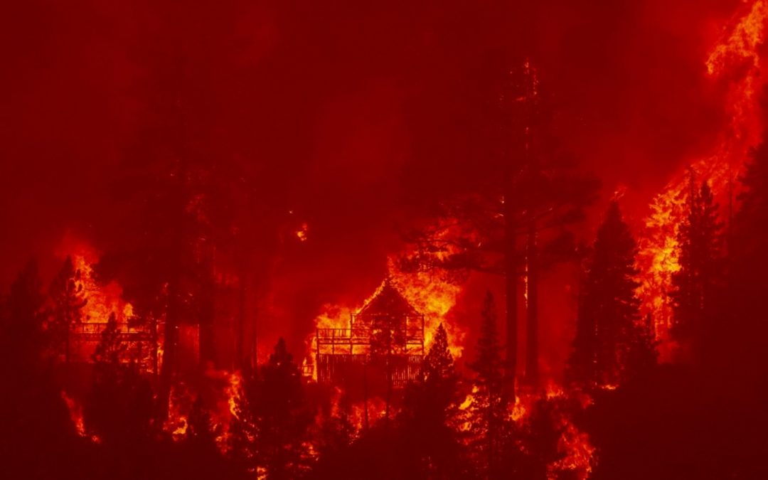 Incêndios cada vez piores e mais longos na Califórnia Imagens de sequoias de 2 a 3 mil anos sendo enroladas em alumínio para que não queimem chamaram a atenção do mundo nesta semana