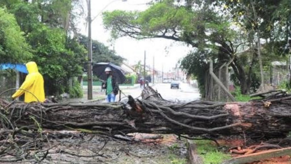 Porto Alegre registra queda de árvores e alagamentos
