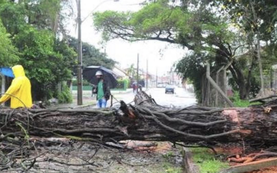 Porto Alegre registra queda de árvores e alagamentos Capital gaúcha teve fortes rajadas de vento no começo da manhã de hoje junto com muita chuva e raios