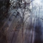 Amazônia tem setembro com menor número de queimadas em vários anos