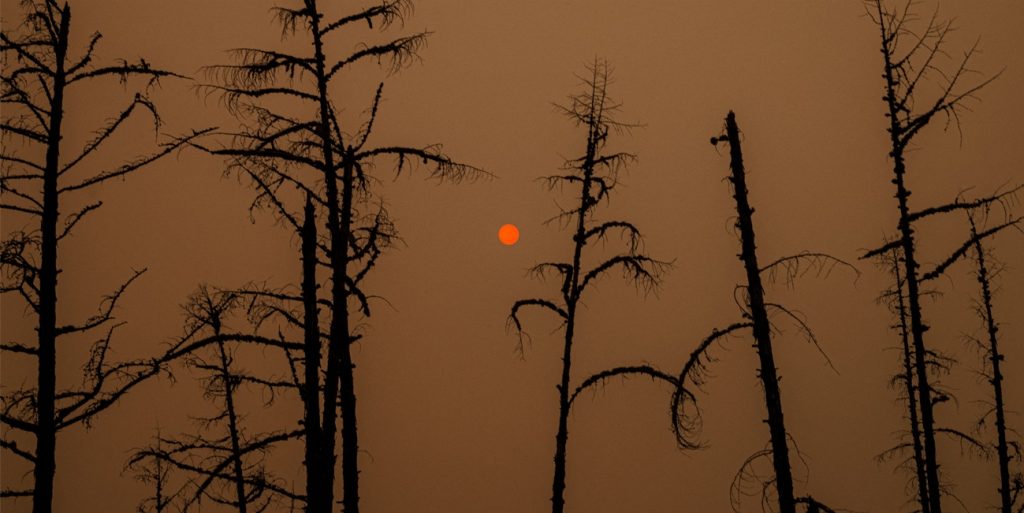 Incêndios na Rússia emitiram mais CO2 que todas queimadas de florestas do mundo