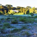 Frio abaixo de zero e geada em outubro no Rio Grande do Sul