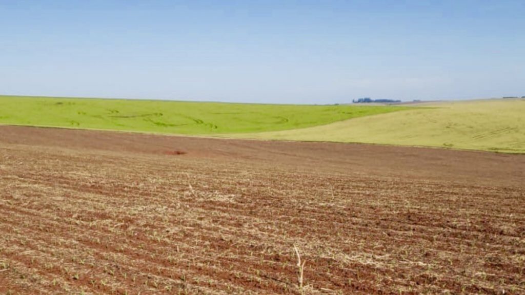 Previsão do tempo – Condição favorável ao plantio da safra de verão
