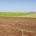 Previsão do tempo – Condição favorável ao plantio da safra de verão