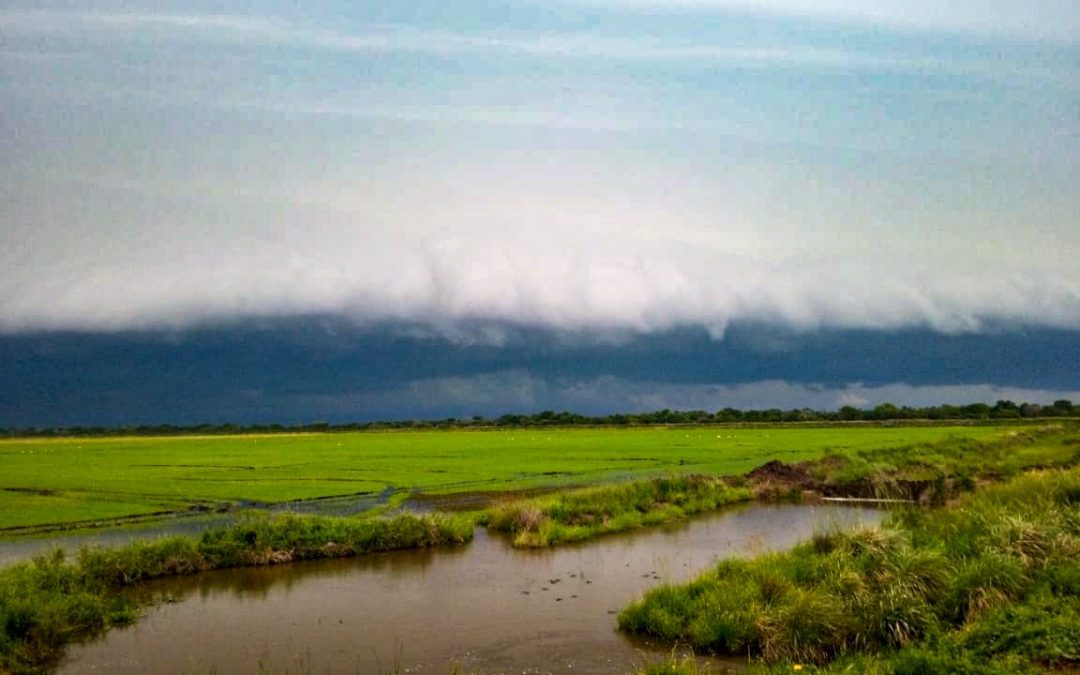 Tempo muito severo trará temporais violentos entre Paraguai e o Brasil Regiões de maior risco de tempestades severas de vento e granizo com chuva forte inclui pontos do Sul, Centro-Oeste e do Sudeste do Brasil