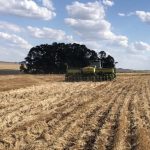 Previsão do tempo para a semana é favorável ao plantio da safra