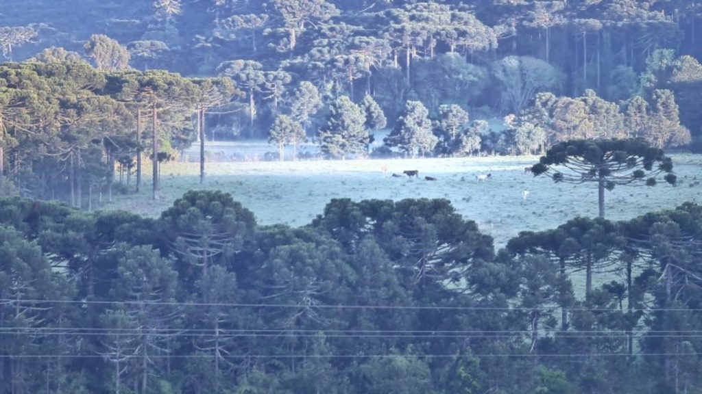 Campos cobertos de gelo em pleno 20 de outubro
