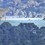 Campos cobertos de gelo em pleno 20 de outubro