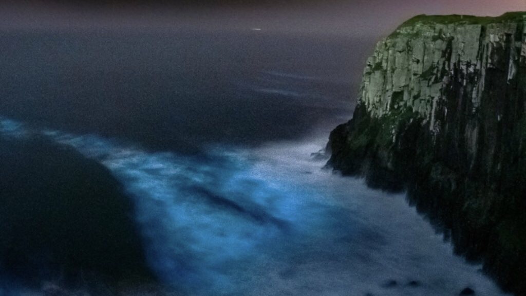 <span class="entry-title-primary">Fotógrafo registra o mar iluminado por microrganismos na costa gaúcha</span> <h2 class="entry-subtitle">Biólogos explicam o fenômeno da bioluminescência que trouxe lindas imagens da praia de Torres, no Litoral Norte do Rio Grande do Sul</h2>