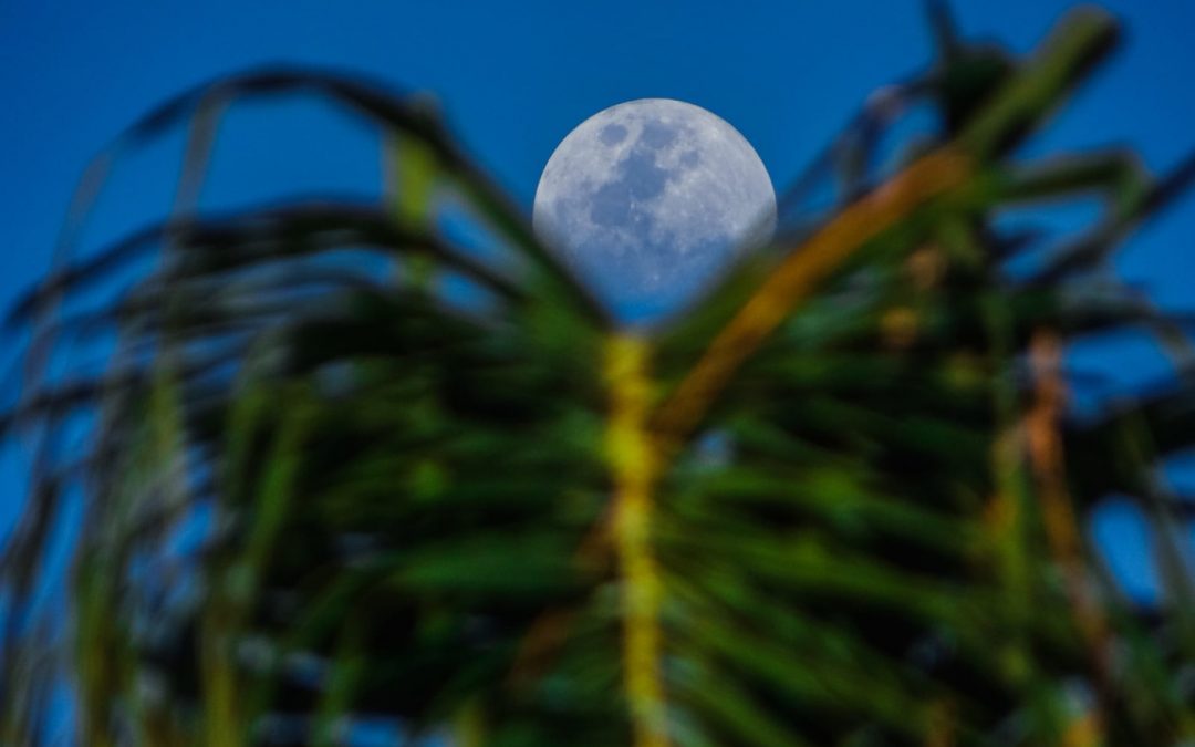 5 pontos para ficar atento na previsão do tempo Planeje-se para os próximos dias e não seja apanhado de surpresa com as mudanças do tempo que estão previstas