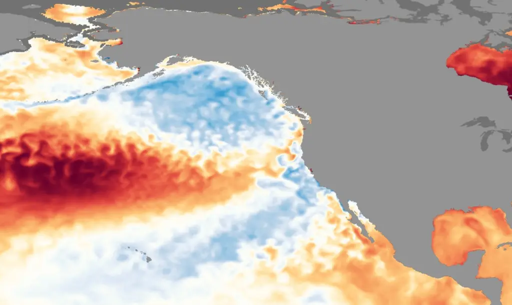 Oscilação do clima que impacta chuva tem menor valor desde 1955