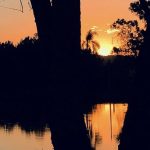 Veja a previsão do tempo para hoje e amanhã (16/11/2021)