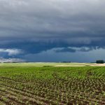 Chuva esperada no campo deve chegar ao Rio Grande do Sul