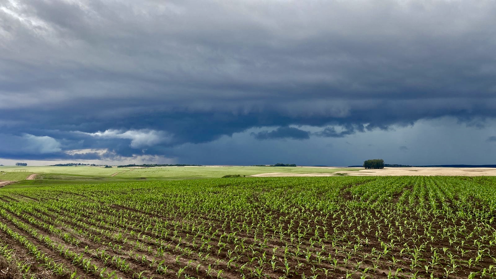 <span class="entry-title-primary">Chuva esperada no campo deve chegar ao Rio Grande do Sul</span> <h2 class="entry-subtitle">Frente fria vai cruzar pelo estado gaúcho entre terça e quarta com chuva mais generalizada </h2>