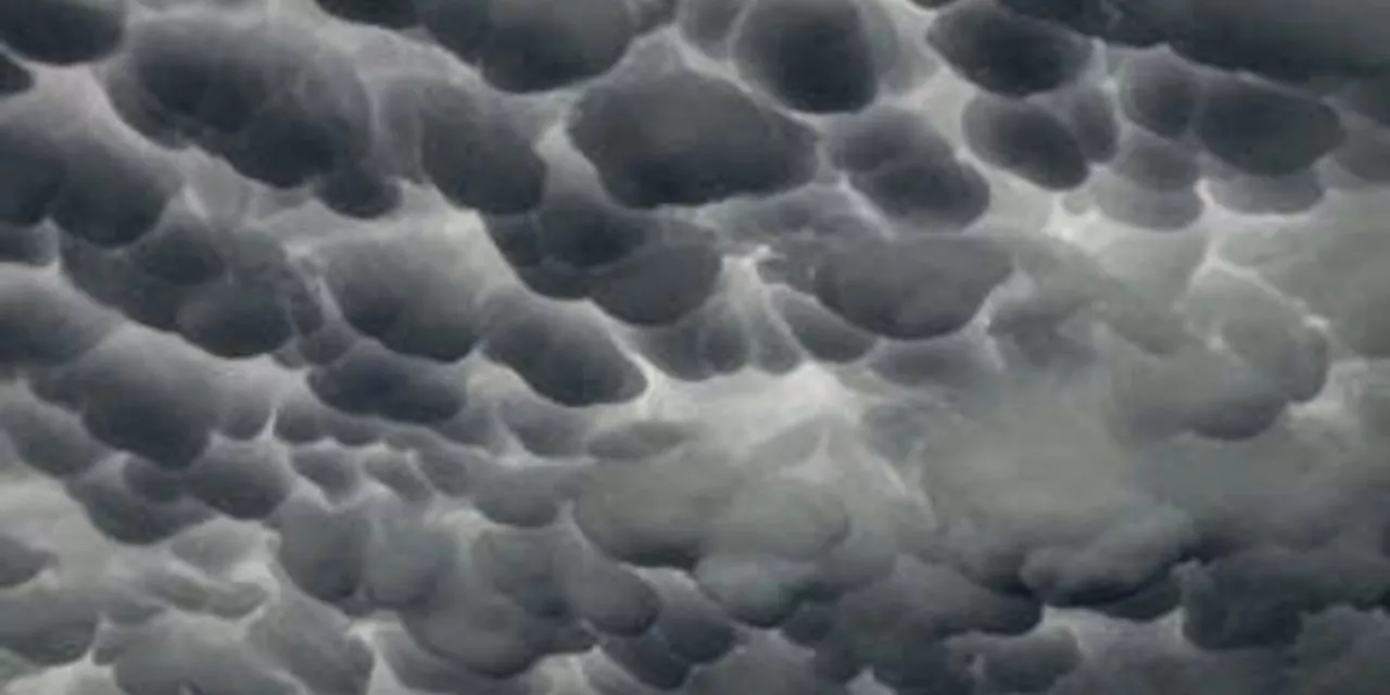 <span class="entry-title-primary">Veja como nuvens Mammatus cobriram o céu na Argentina</span> <h2 class="entry-subtitle">Cidades da província de Córdoba puderam observar uma impressionante aparição de nuvens do tipo Mammatus durante tempestades na região</h2>