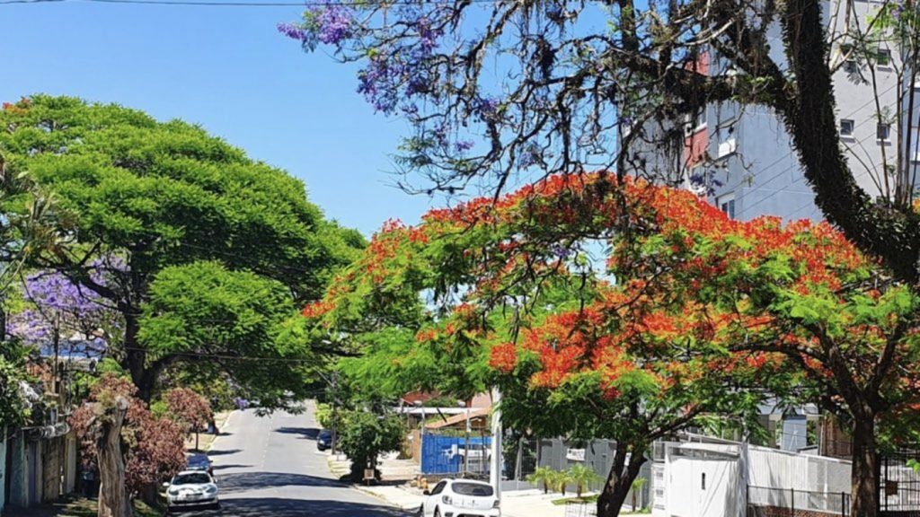 O quão incomum é o frio de hoje cedo em Porto Alegre?