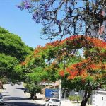 O quão incomum é o frio de hoje cedo em Porto Alegre?