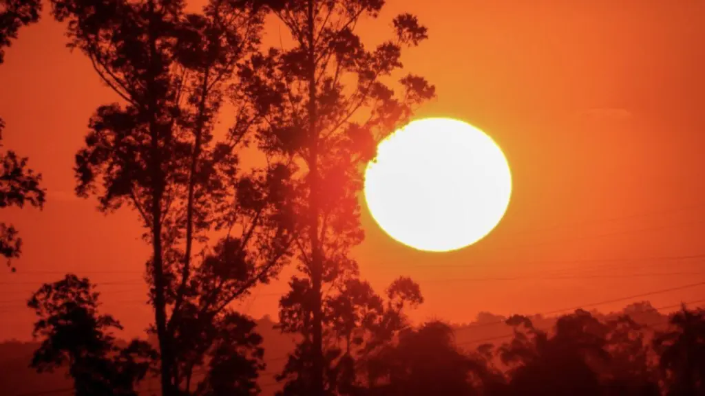 Calor de quase 40ºC e umidade de deserto após frio intenso e geada