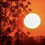 Calor de quase 40ºC e umidade de deserto após frio intenso e geada