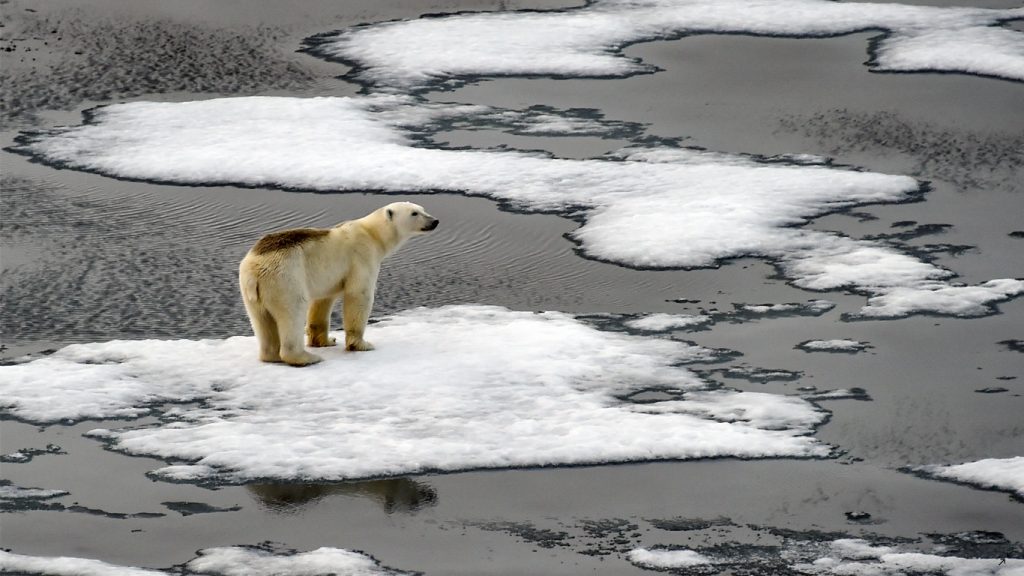 Um guia para entender as mudanças climáticas