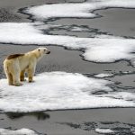 Um guia para entender as mudanças climáticas