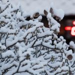 Brutal onda de frio atinge a Europa com recordes de 40 anos