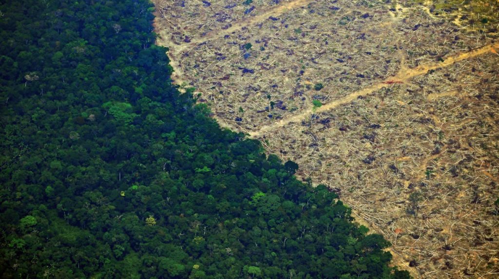 Destruição em um ano na Amazônia equivale a 60% da área de Sergipe