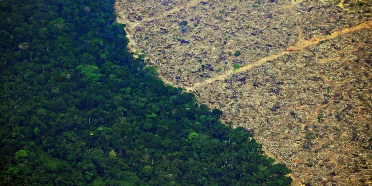 <span class="entry-title-primary">Destruição em um ano na Amazônia equivale a 60% da área de Sergipe</span> <h2 class="entry-subtitle">Números divulgados hoje do Instituto Nacional de Pesquisas Espaciais mostram que a devastação da Amazônia avança rapidamente</h2>