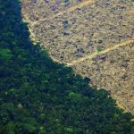 Destruição em um ano na Amazônia equivale a 60% da área de Sergipe