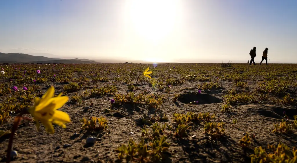 Clima de deserto do Atacama no Rio Grande do Sul neste domingo