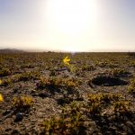 Clima de deserto do Atacama no Rio Grande do Sul neste domingo