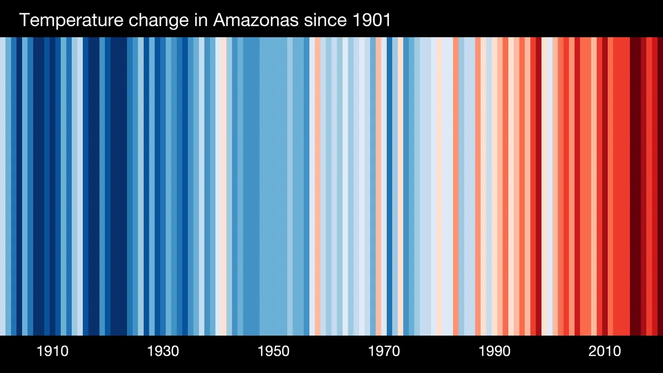 Amazon climate stripes