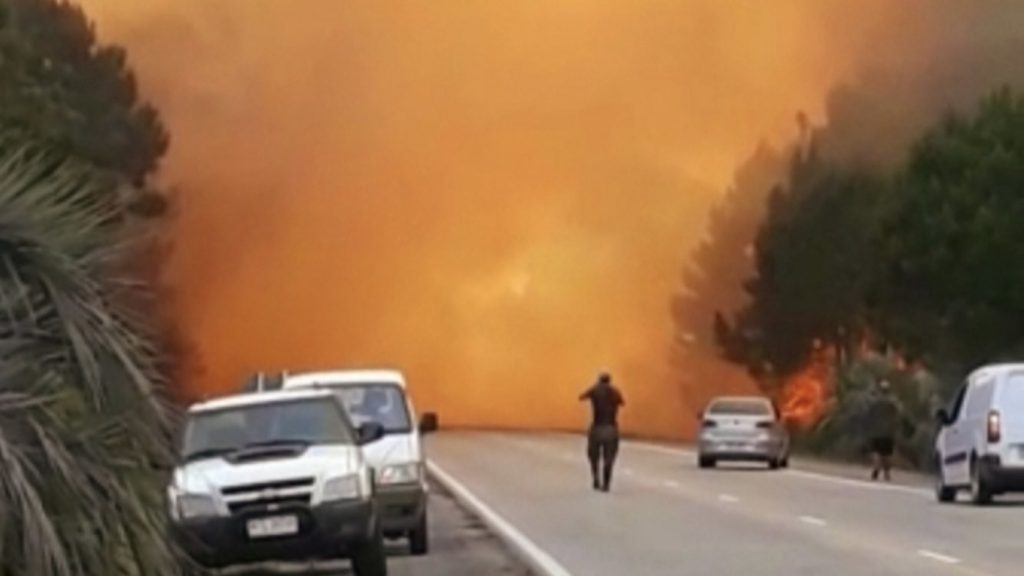 Verão de alto risco de incêndios florestais no Uruguai