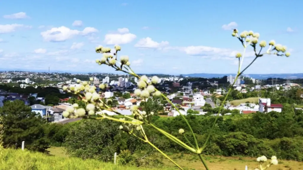 Veja a previsão do tempo para hoje e amanhã (9/12/2021)