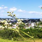 Veja a previsão do tempo para hoje e amanhã (9/12/2021)