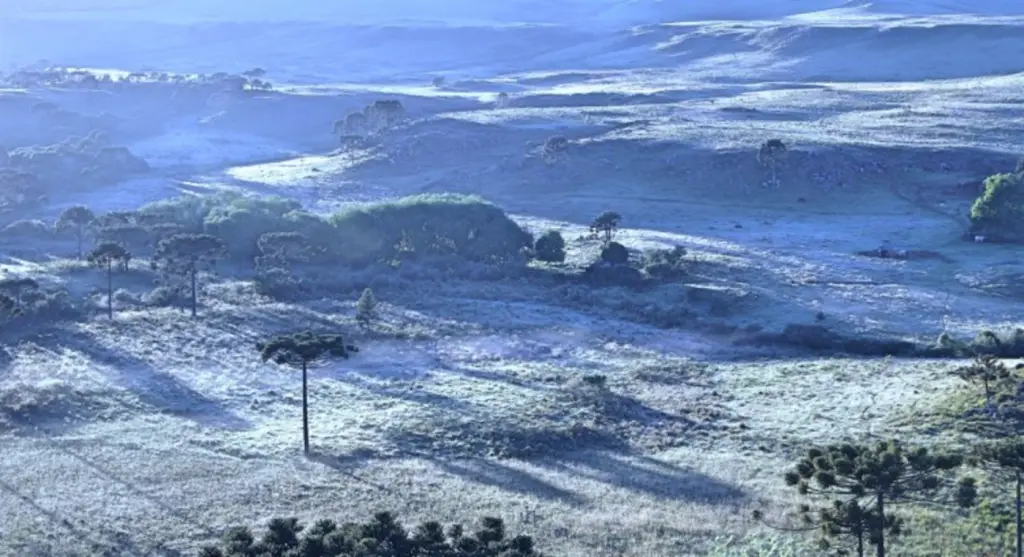 Frio e geada no Sul do Brasil a apenas duas semanas do Natal